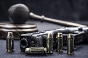 Gavel and gun rights