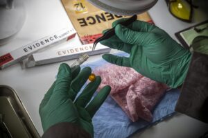 Police scientist inserts rape victim's hair into vial for crime lab DNA research, conceptual image