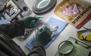 Police scientist inserts rape victim's hair into vial for crime lab DNA research, conceptual image