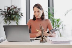 work in a law firm or legal advice of a law firm online on the Internet.