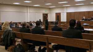 Attorney addressing prospective jurors during the jury selection process in a Nevada criminal court.